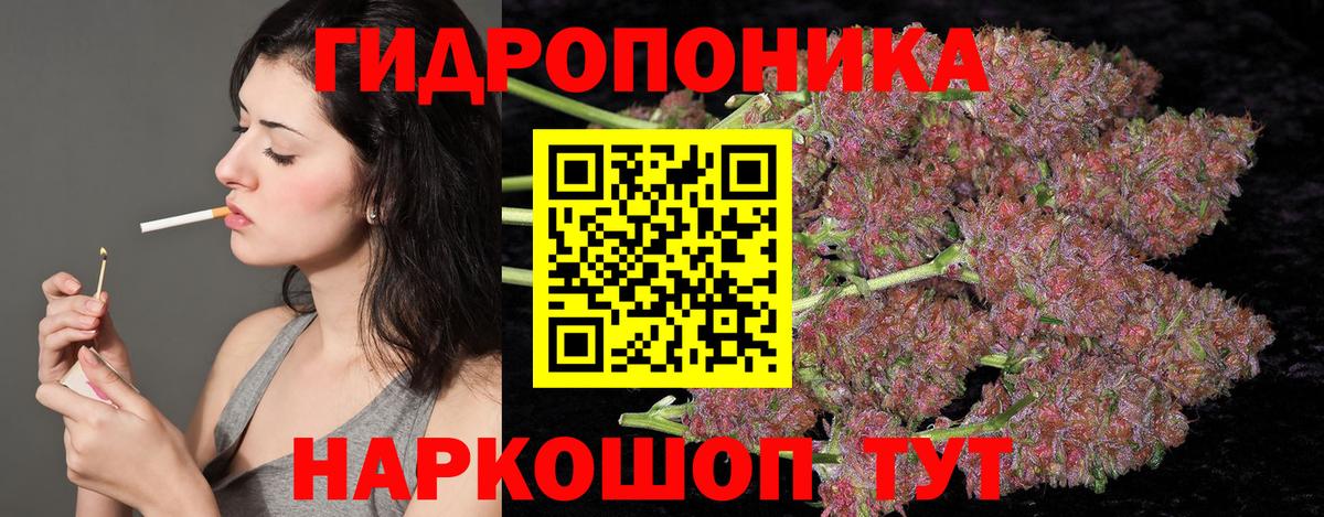 Конопля гибрид Менделеевск